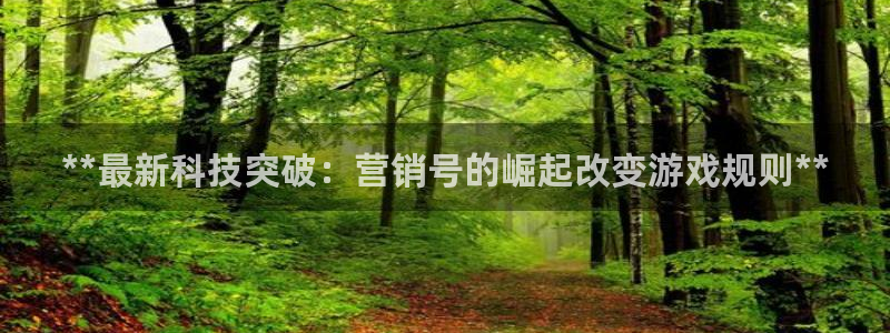 金年会体育app最新官网入口