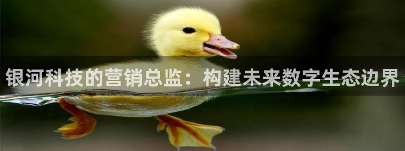 金年会体育买球app下载安卓
