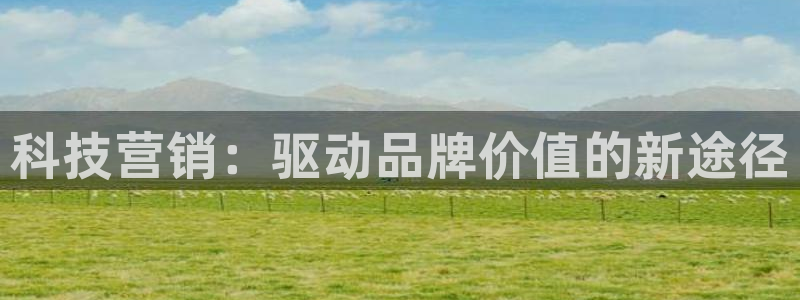 金年会体育app官网入口