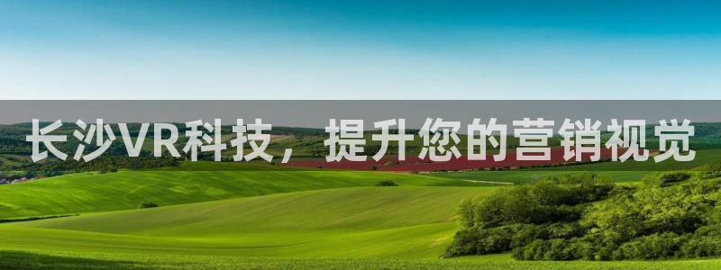 金年会金字招牌至上用了多少钱?