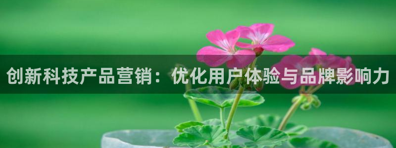金年会官方app下载苹果