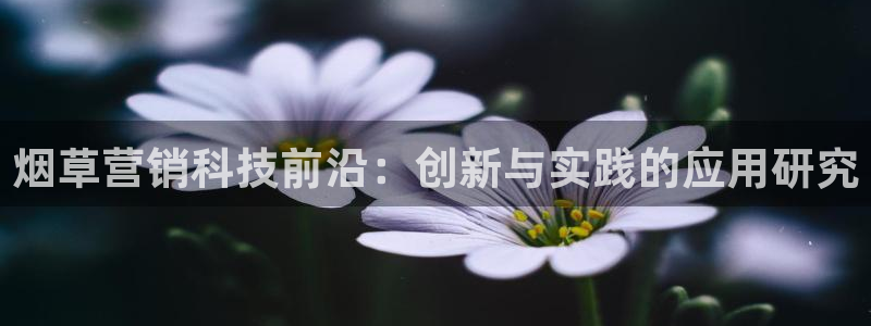 金年会体育论坛