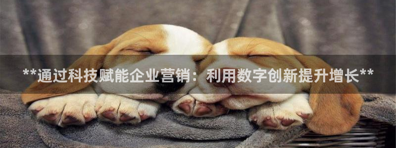 金年会体育app平台怎么样可靠吗