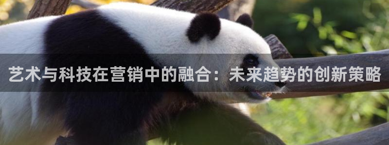 金年会体育官方