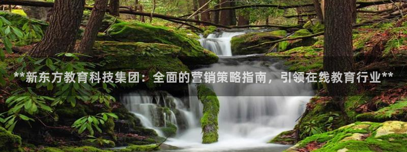 金年会pg麻将胡了