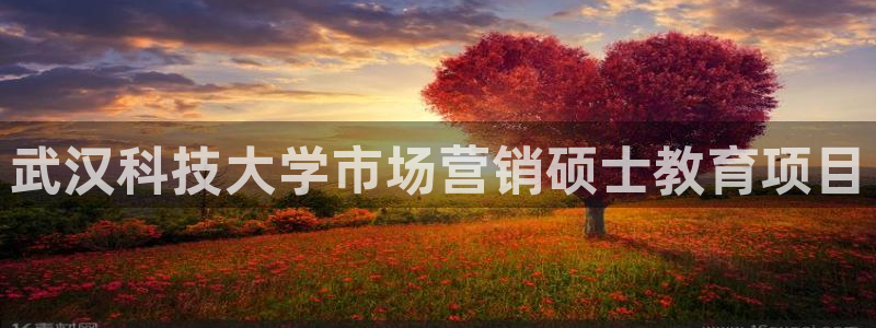 金年会体育娱乐