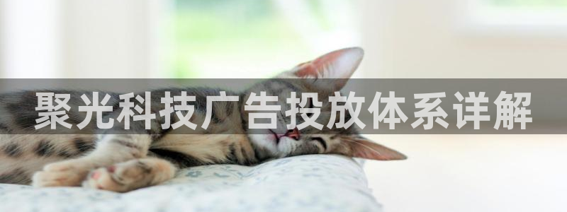 金年会网站登录