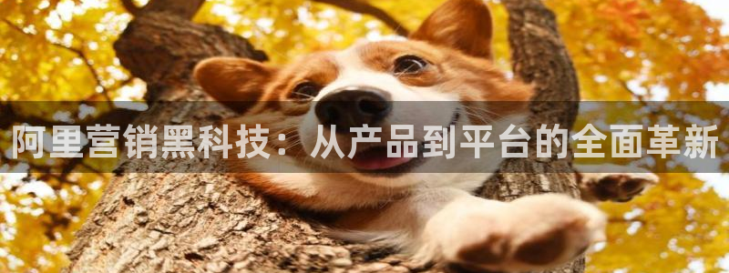 金年会手机版·(中国)官方网站-app下载
