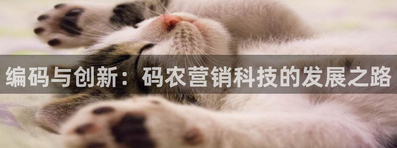 金年会·会官方入口登录