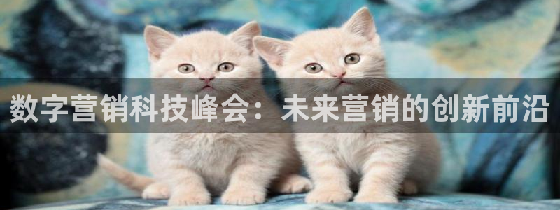 金年会app官方网站入口在哪