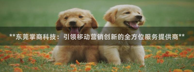 金年会手机网页版吗