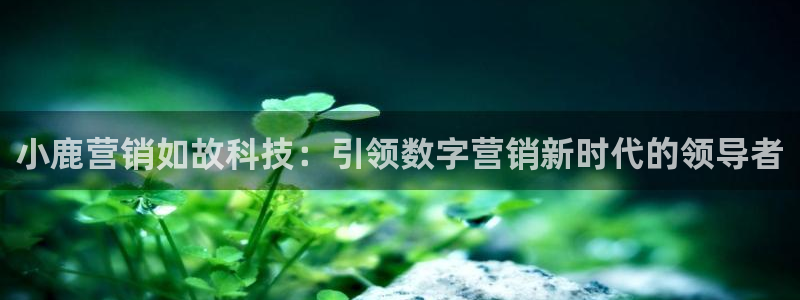 金年会网址