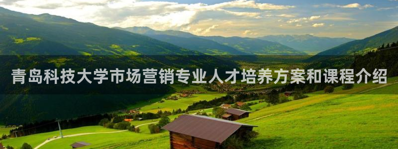 金年会网站事件后果
