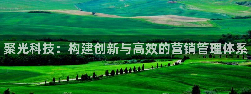金年会体育app属于正规平台吗
