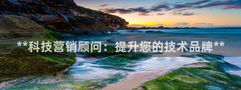 金年会下载官方网站
