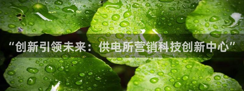 金年会体育平台连接下载