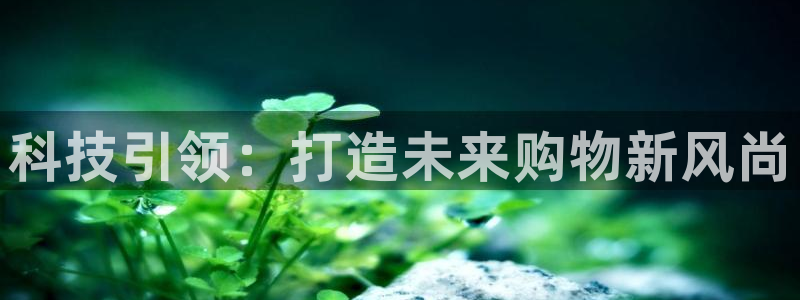 金年会体育app平台怎么样