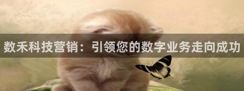 金年会官方入口首页