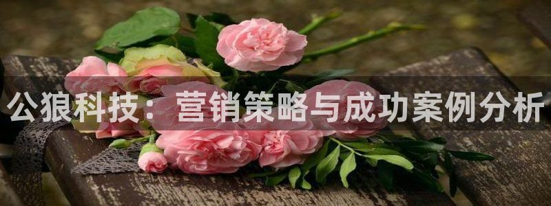 金年会官方在线入口网址查询