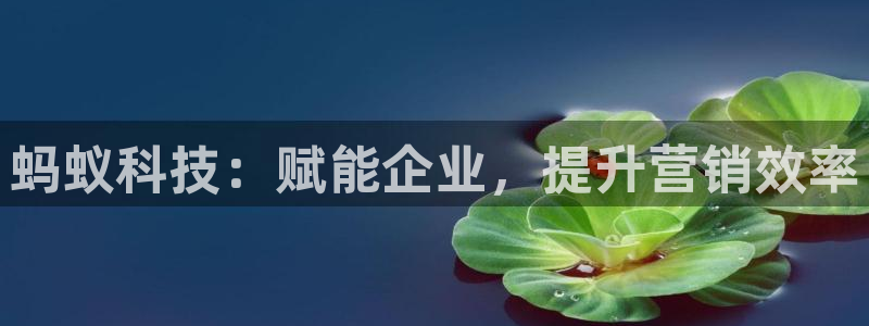 金年会手机网页版吗