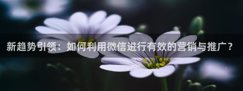 金年会体育平台是真的吗