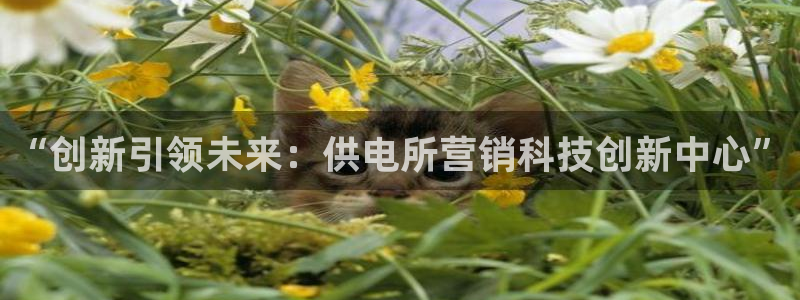 金年会网站平台怎么样