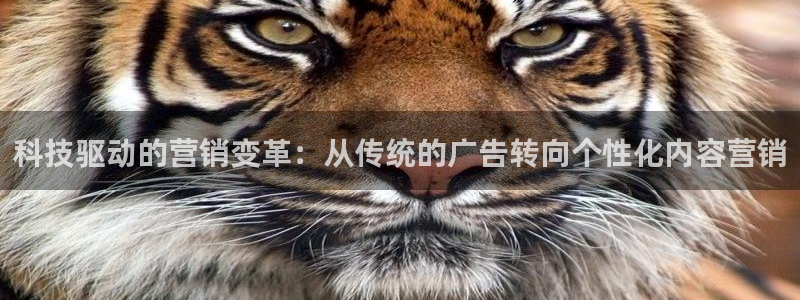 金年会App是不是钓鱼软件