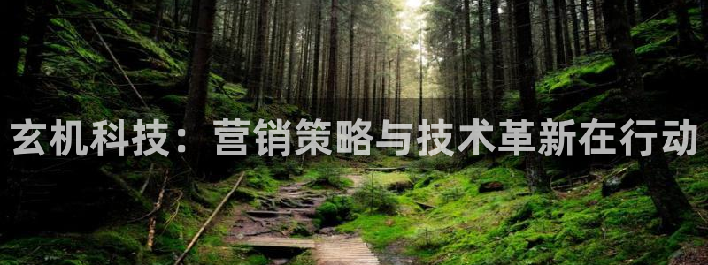 金年会体育官网