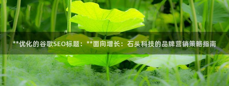 金年会官方入口首页网站下载