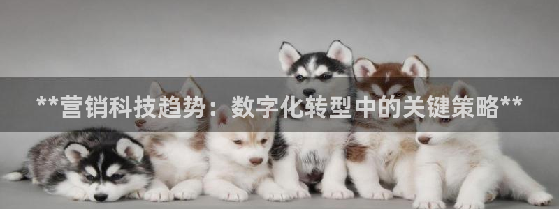 金年会金字招牌荣誉至上