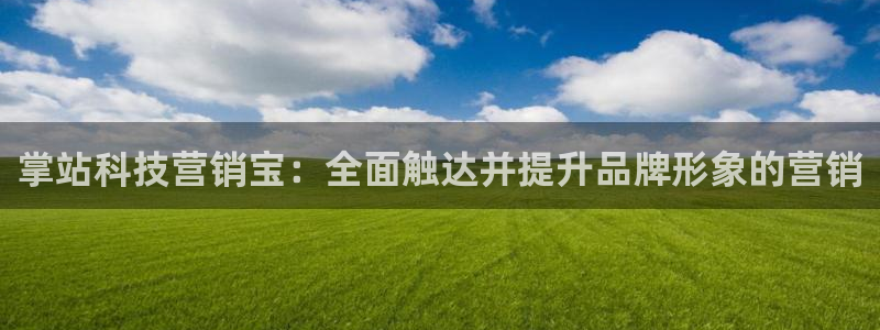 金年会官方入口app