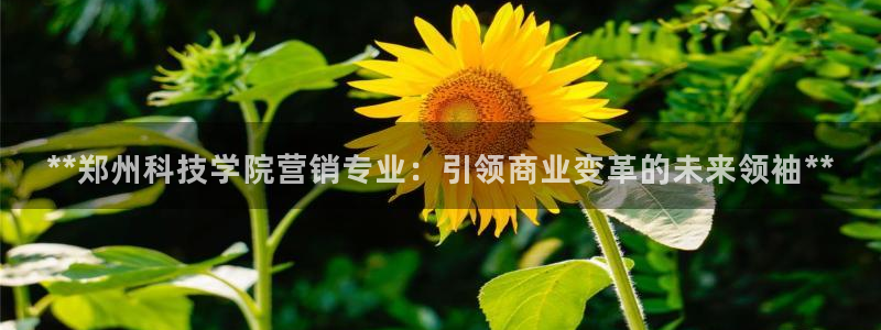 金年会体育官网登录入口网址