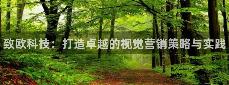 金年会官方入口APP