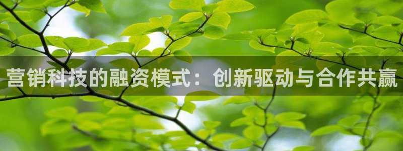 金年会官方网址