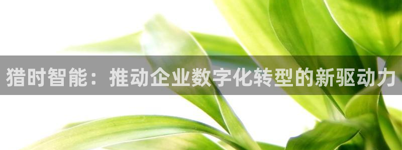 金年会体育平台官网下载