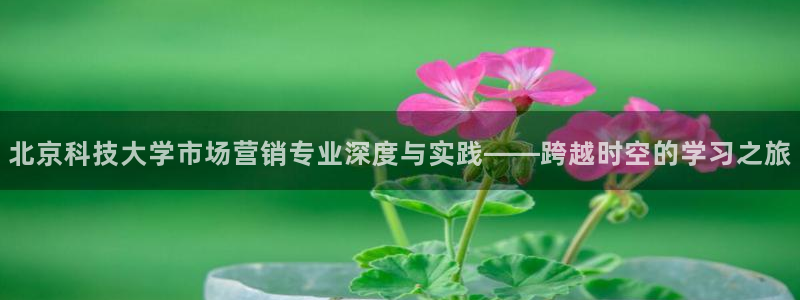 金年会电子游戏—2023全球木材与木制品大会