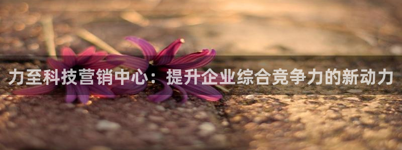金年会体育app最新官网