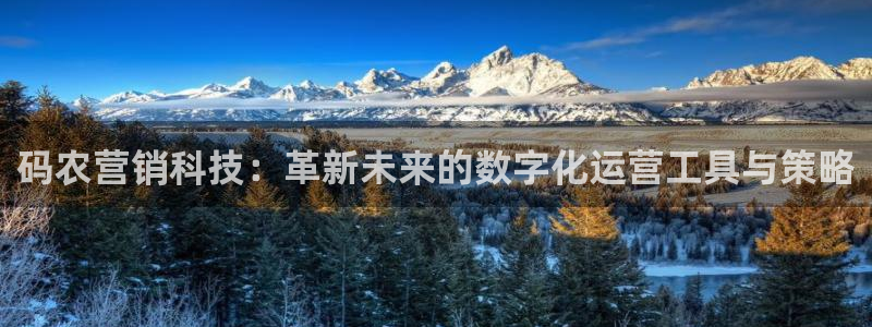 金年会pg麻将胡了