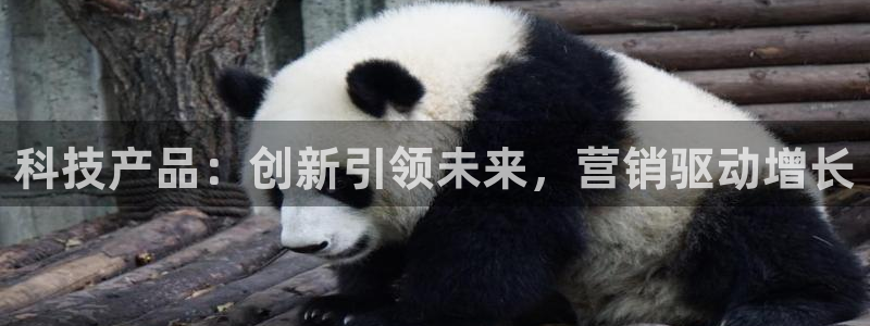 金年会体育如何