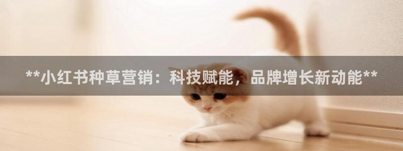 金年会官方入口APP