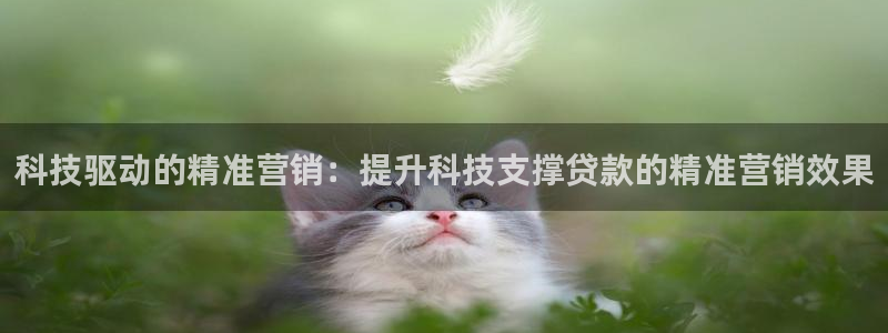 金年会网站提现一直显示审核当中怎么办
