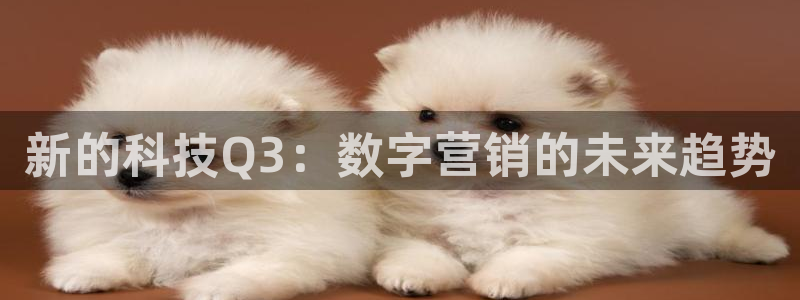 金年会app下载官网登录入口