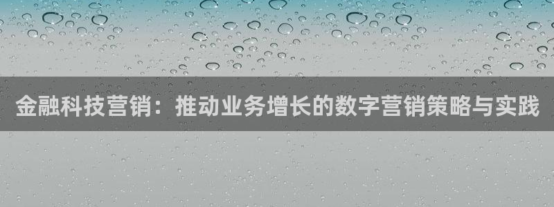 金年会电子