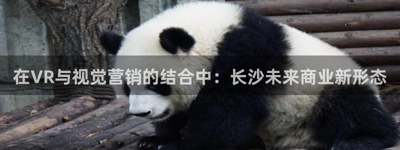 金年会电子游戏app官方入口网站
