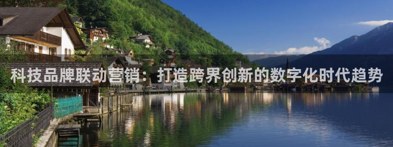 金年会在线入口2023