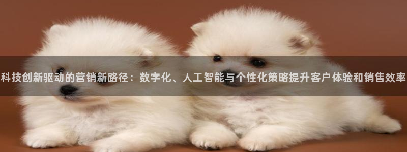 金年会com