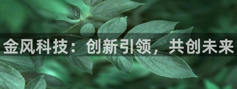 金年会在线入口登陆