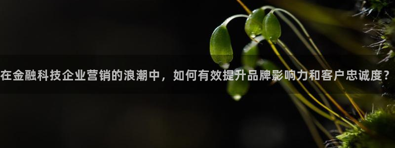金年会体育