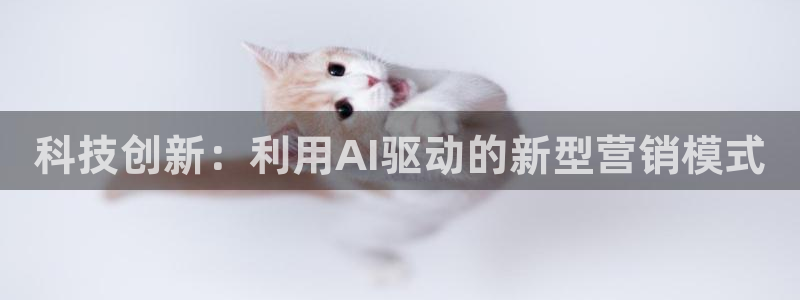 金年会官方入口首页