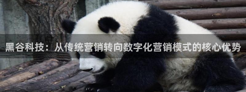 金年会官方app下载苹果